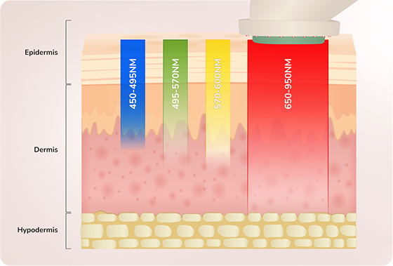 The Power of LED Light Therapy